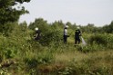 Waldbrand Koeln Hoehenhaus Hoehenfelder Mauspfad P140